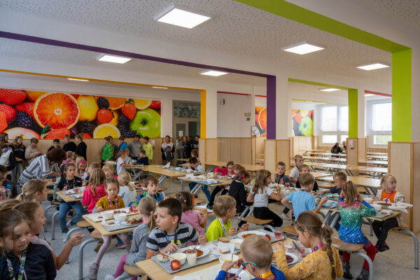 Organizace školního stravování pro školní rok 2025/2026